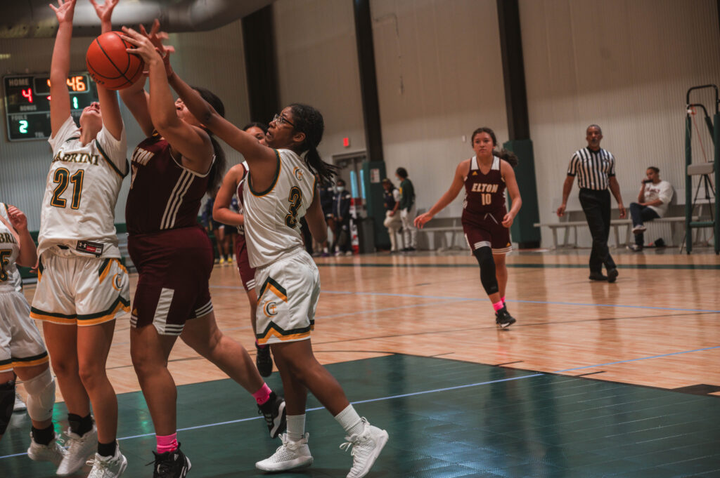 DSC_1625.jpg DSC_1625.jpg