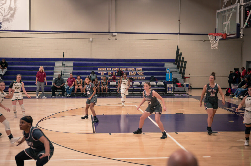 DSC_2338.jpg DSC_2338.jpg