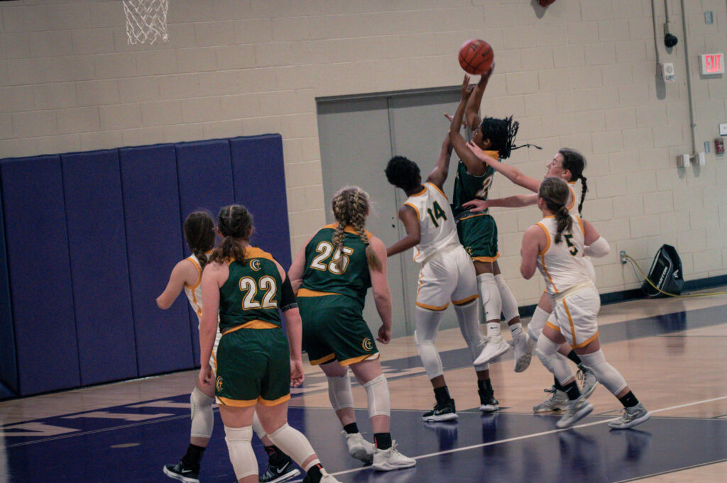 DSC_2390.jpg DSC_2390.jpg